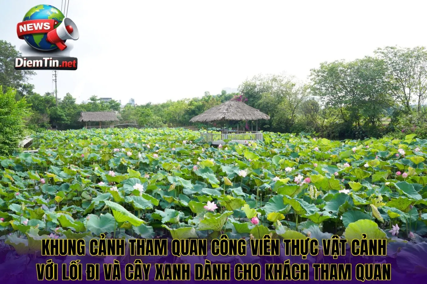 Khung cảnh tham quan công viên thực vật cảnh với lối đi và cây xanh dành cho khách tham quan