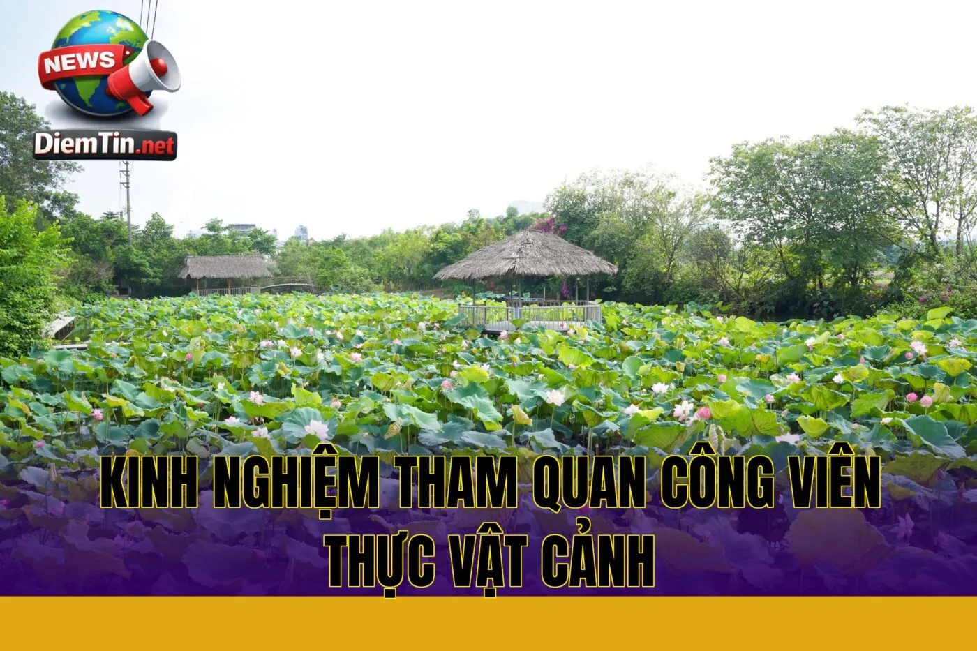 kinh nghiệm tham quan công viên thực vật cảnh