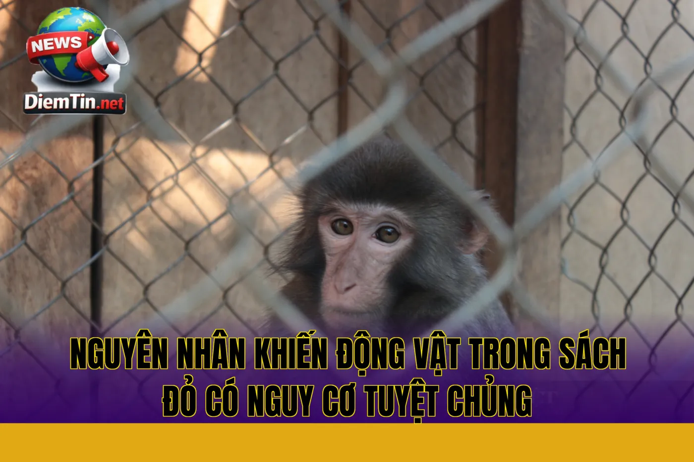 nguyên nhân khiến động vật trong sách đỏ có nguy cơ tuyệt chủng