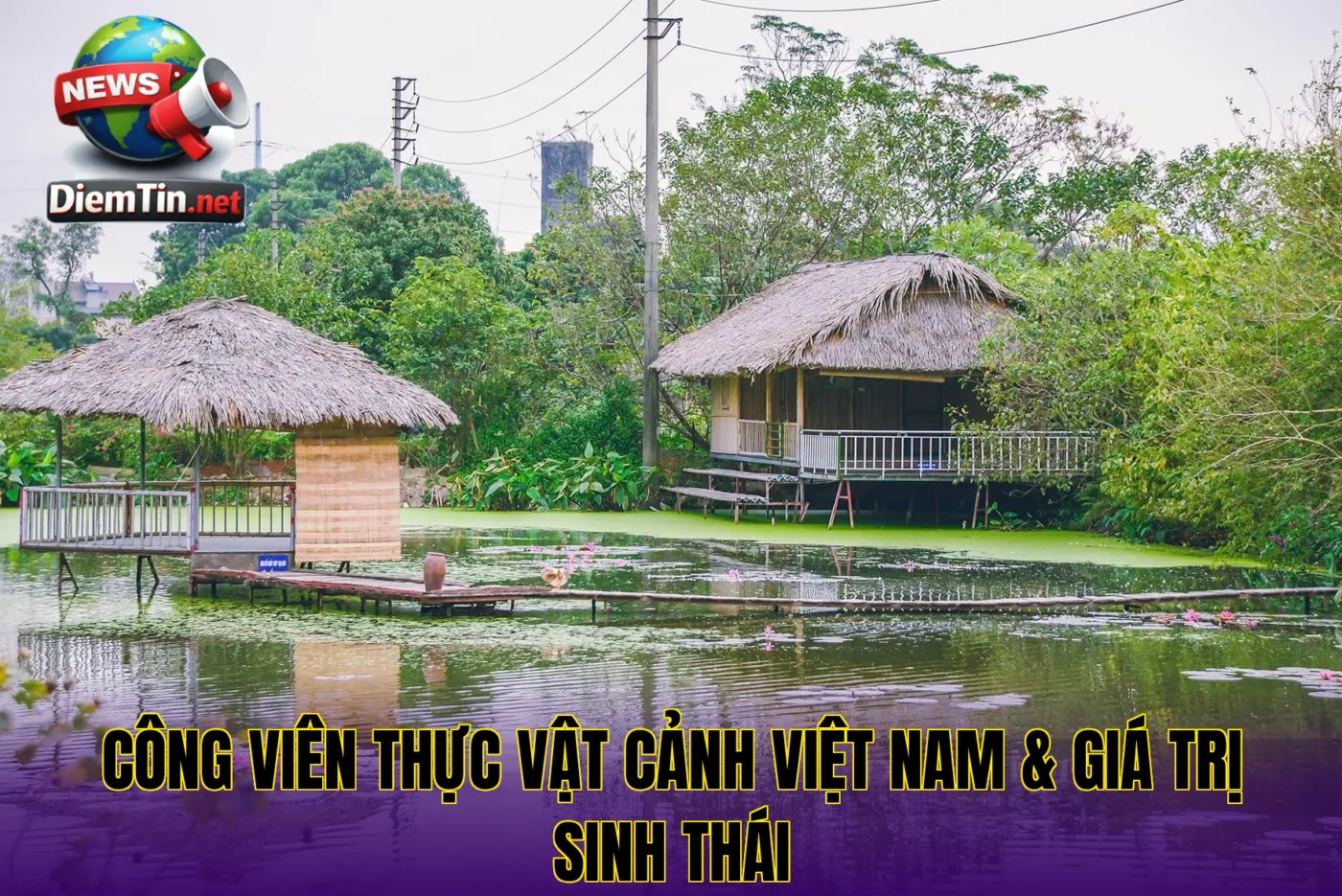 Công Viên Thực Vật Cảnh Việt Nam & Giá Trị Sinh Thái