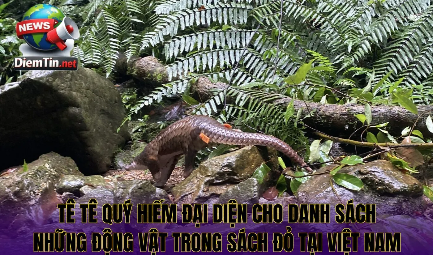 Tê tê quý hiếm đại diện cho danh sách những động vật trong sách đỏ tại Việt Nam