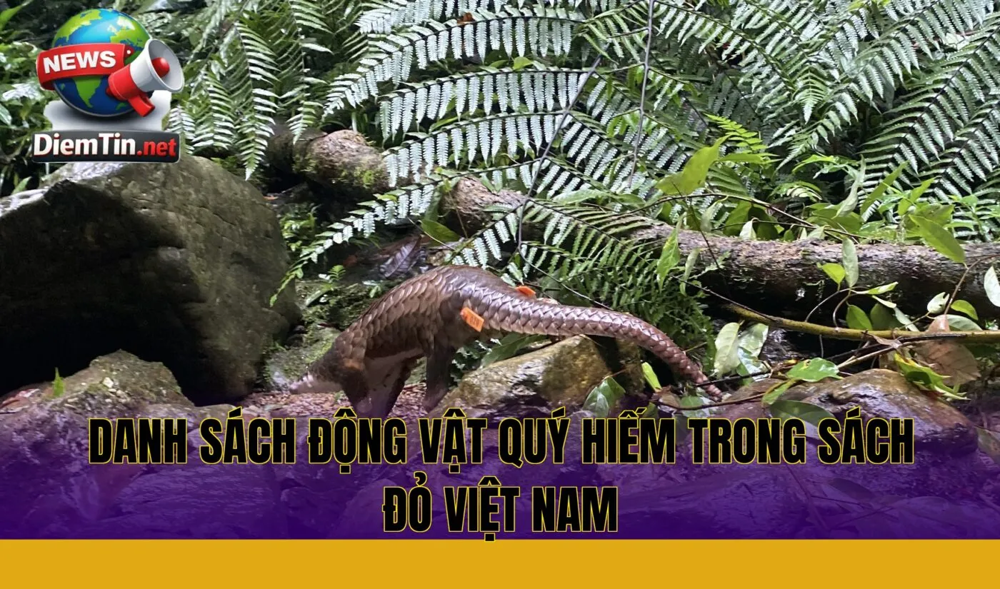 danh sách động vật quý hiếm trong sách đỏ Việt Nam