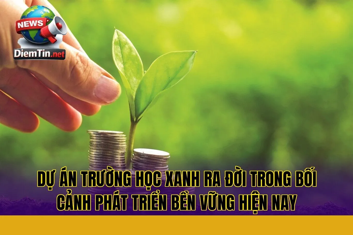 dự án trường học xanh ra đời trong bối cảnh phát triển bền vững hiện nay